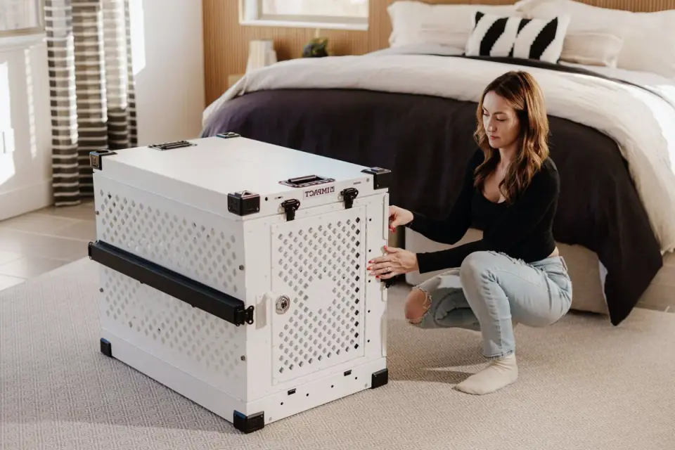 Dog in a travel crate
