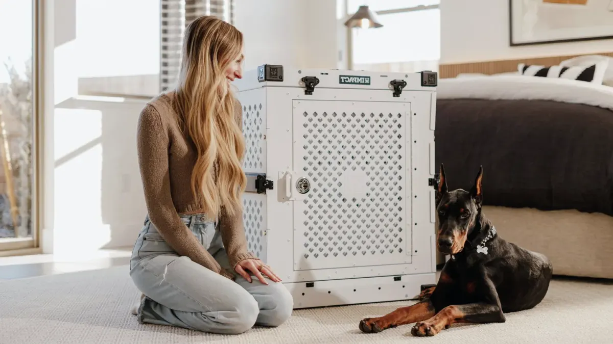 Dog in a travel crate