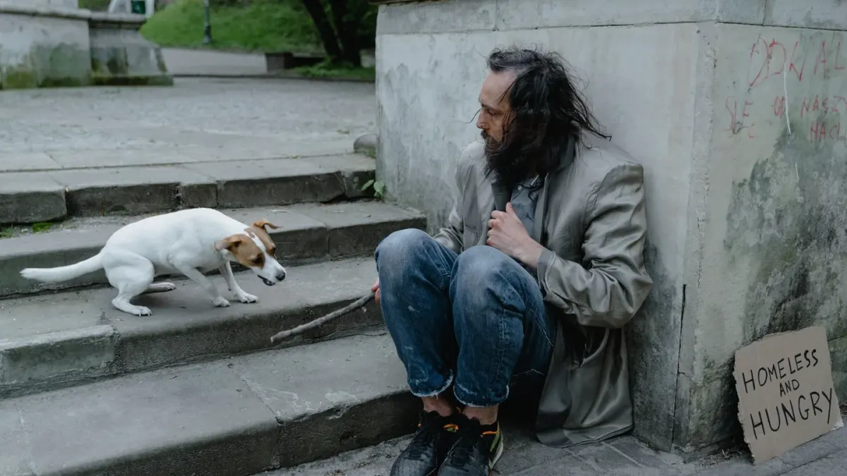 Dog looking at an owner
