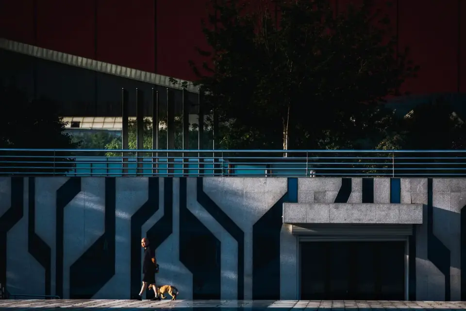 Dog on a ramp