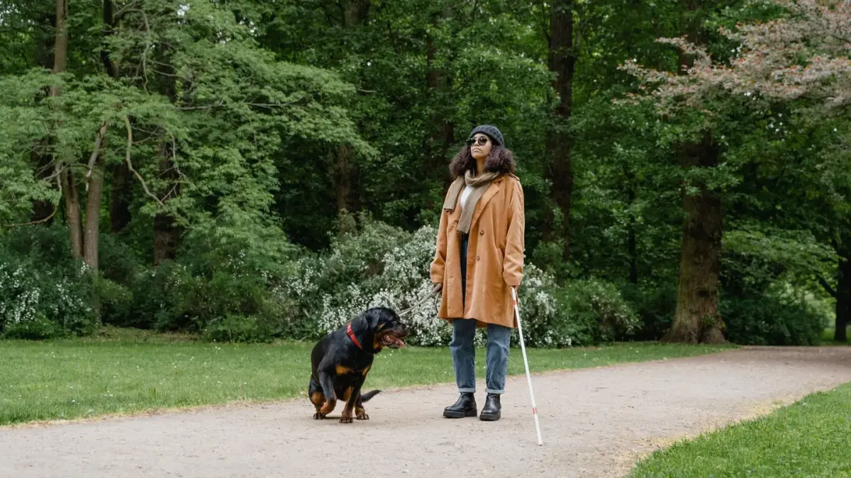 Dog on a ramp
