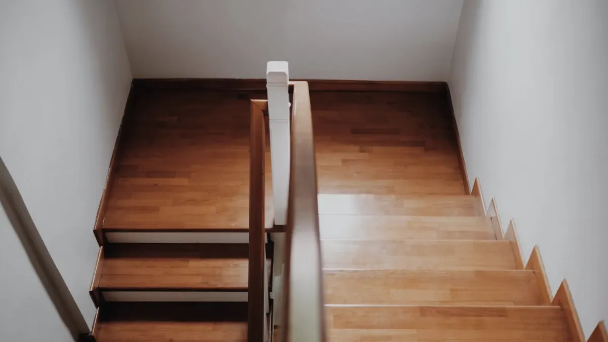 Dog on stairs