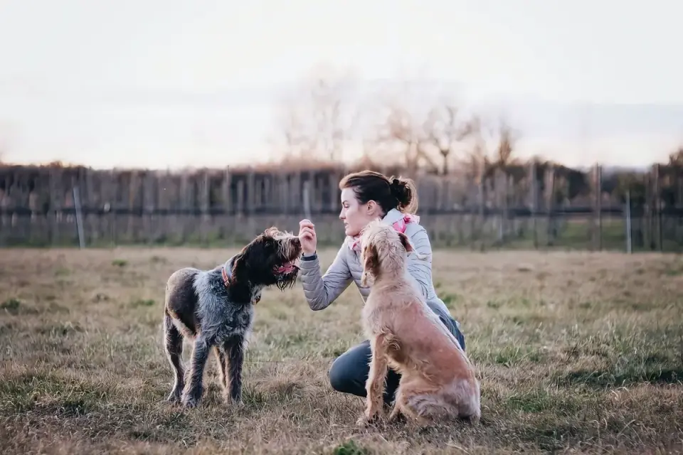 Dog owner preparing a meal