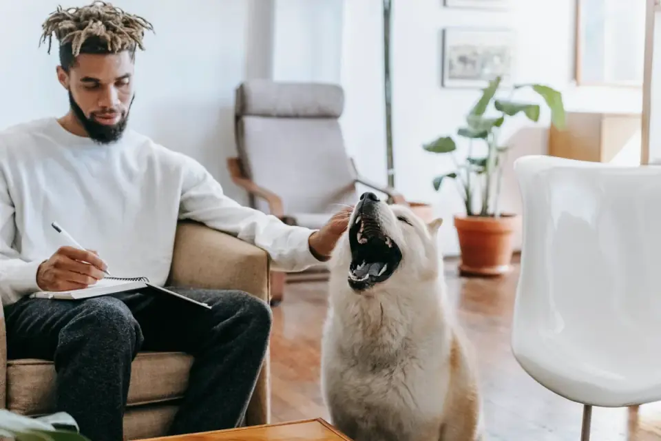 Dog resting beside an owner