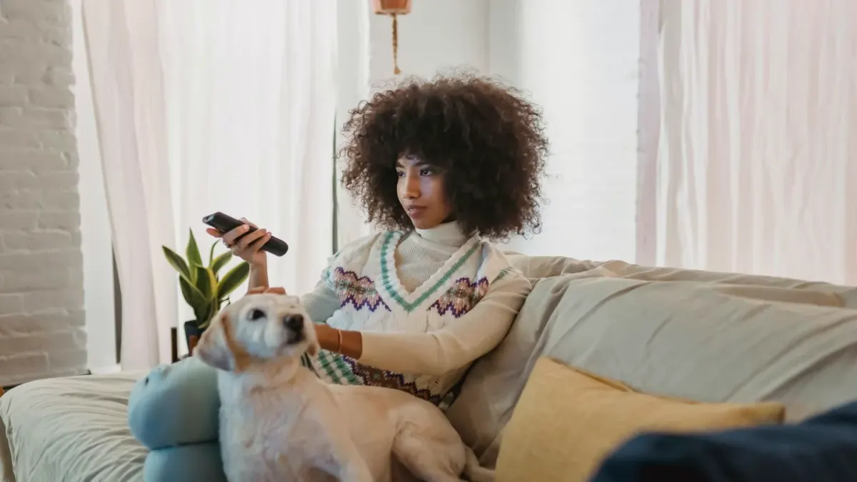 Dog resting beside an owner