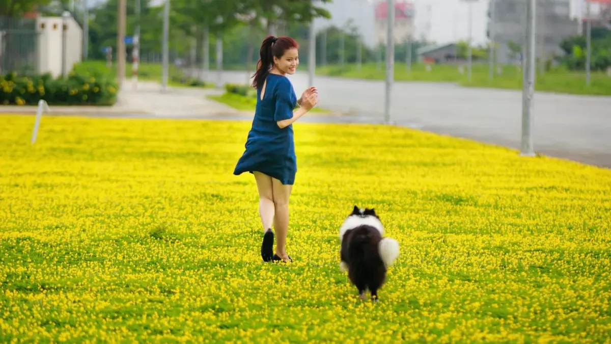 Dog running with an owner