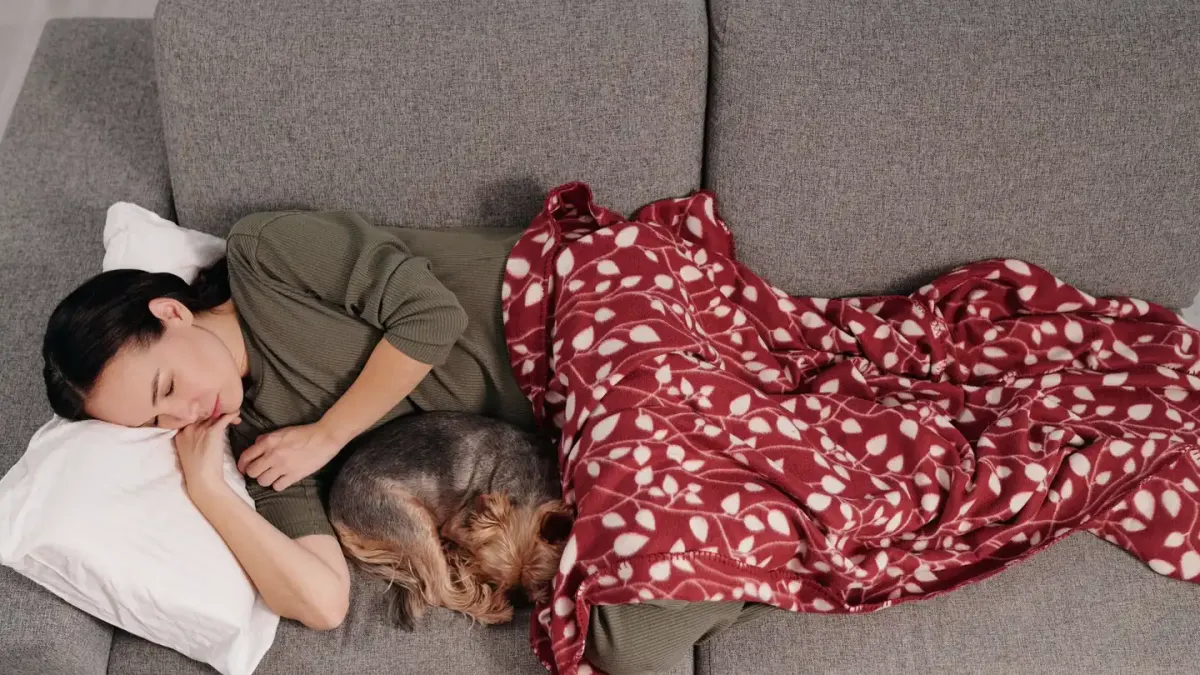 Dog sleeping at home