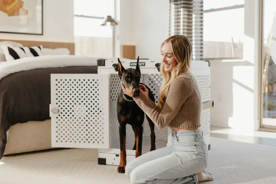 Dog standing at full height inside an open hard-sided pet travel crate