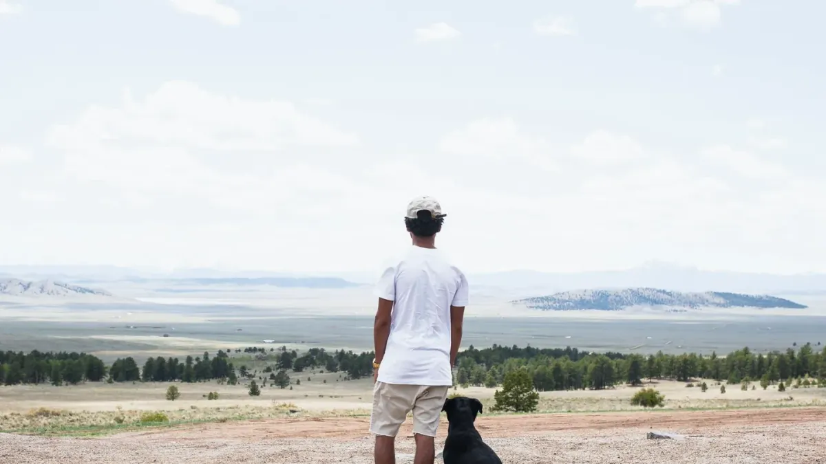 Dog traveling with an owner