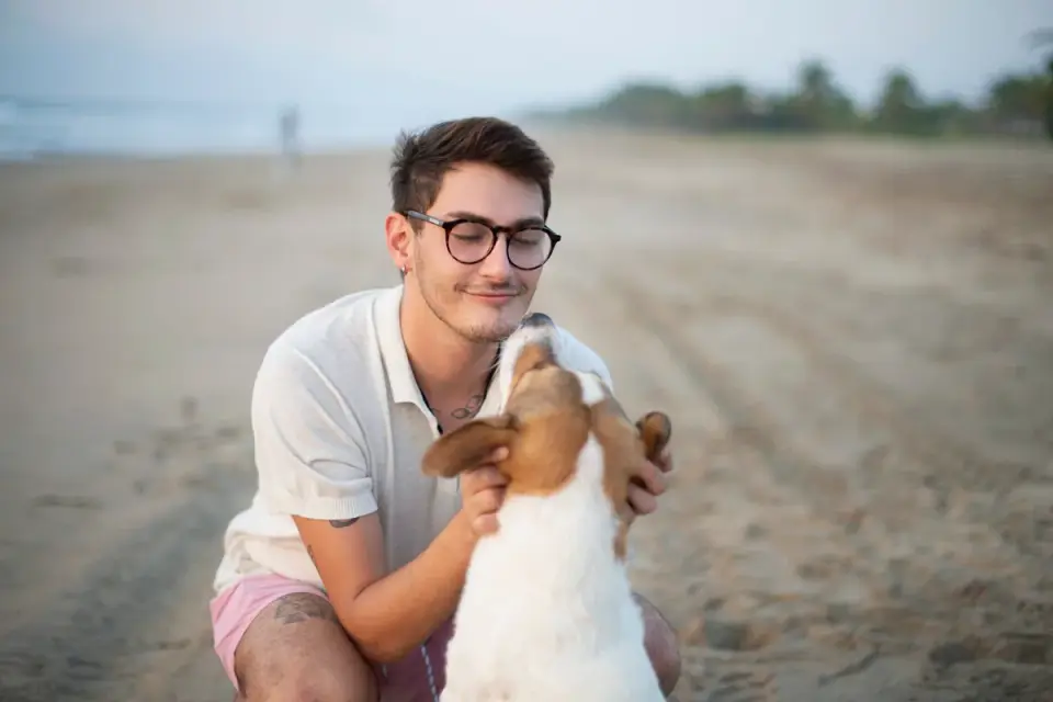 Dog traveling with an owner