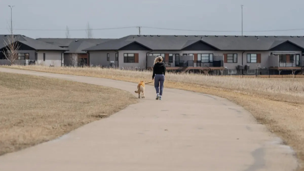 Dog walking with an owner