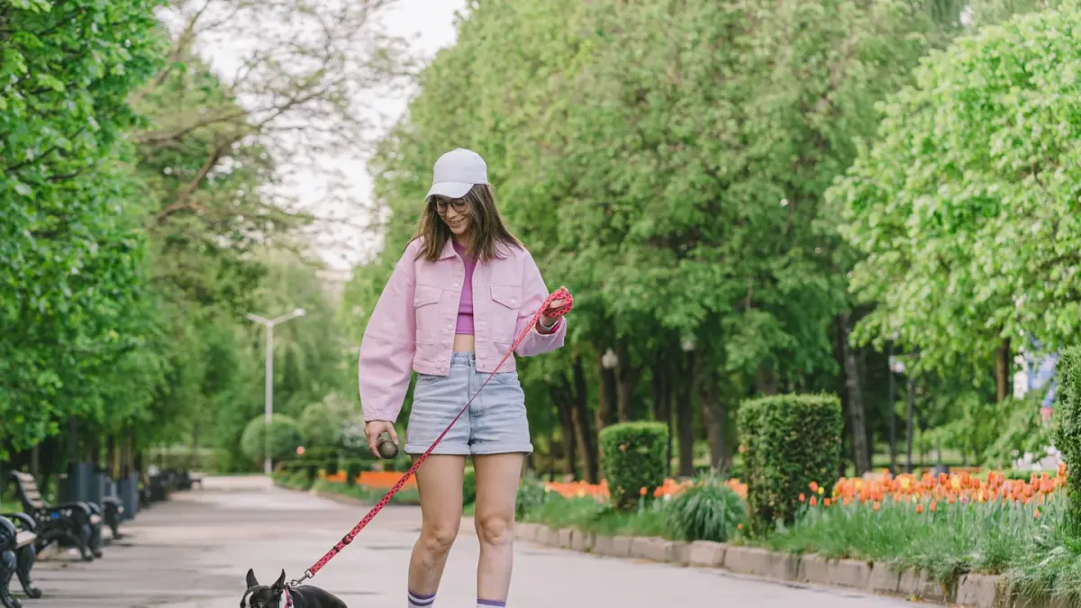 Dog walking with an owner