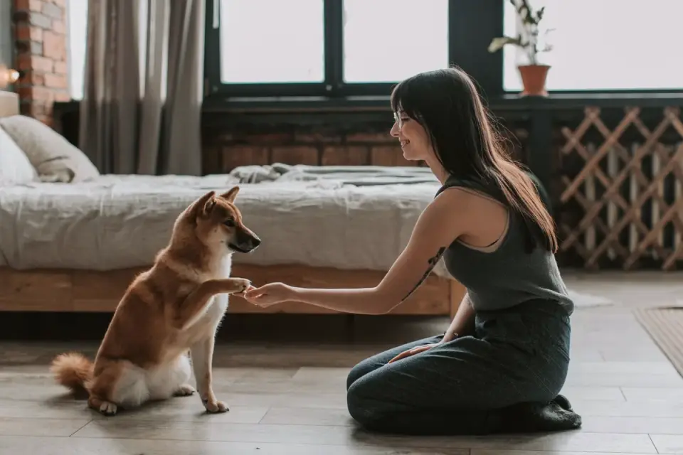 Dog with an owner at home