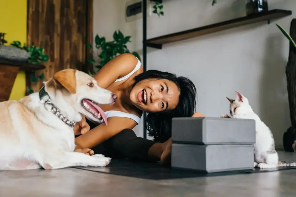 Owner picking up a set of keys while a dog rests nearby without reacting