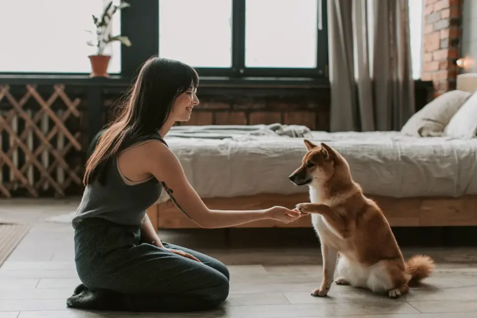 Pet owner writing notes beside a dog supplement label