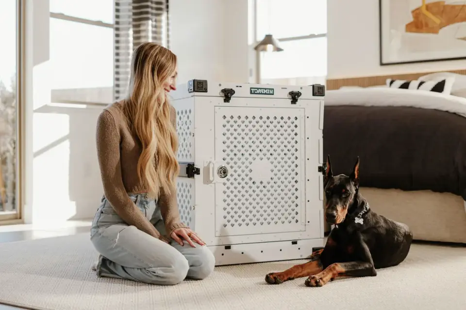 Puppy sleeping peacefully in a crate positioned at the edge of an owner&#x27;s bed