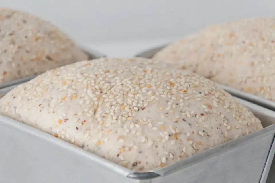 Raw bread dough rising in a bowl on a kitchen counter