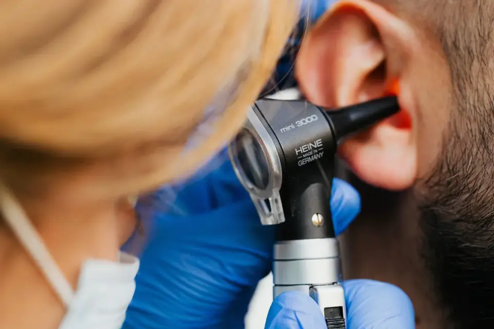 Veterinarian checking a dog&#x27;s ears during a routine wellness exam