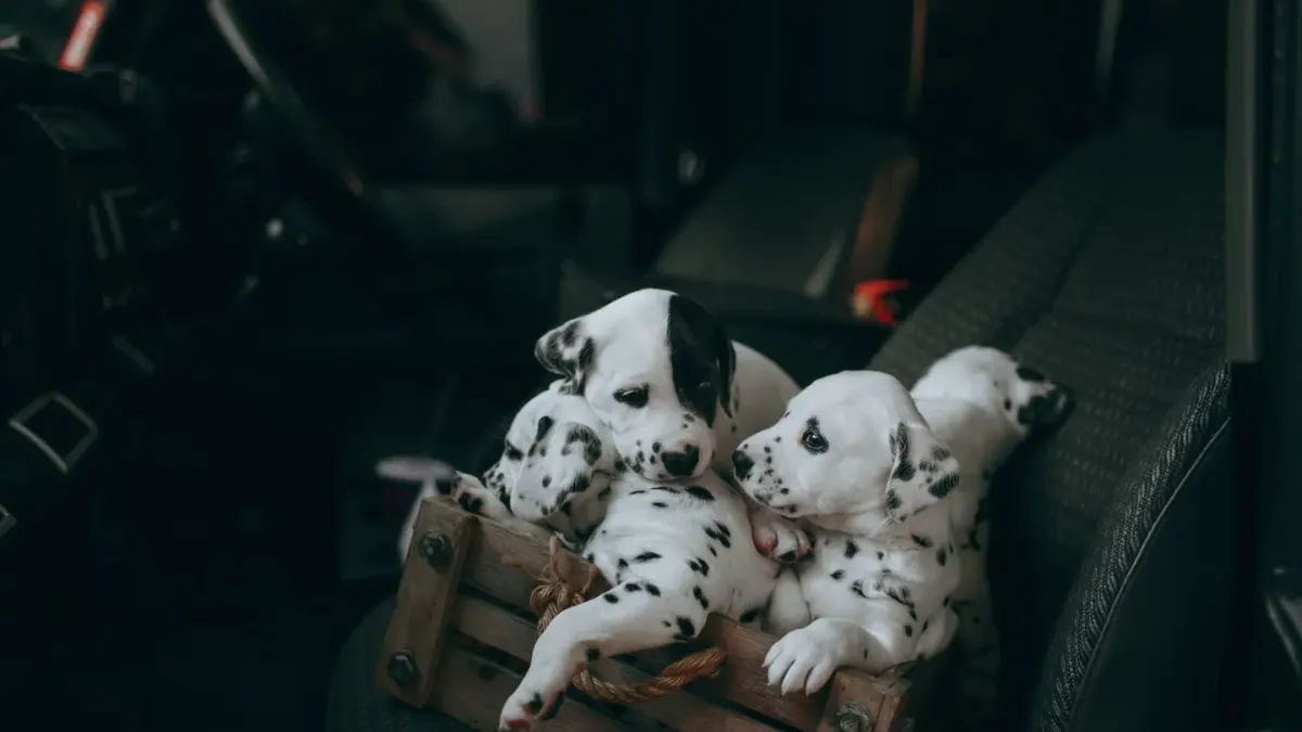 Young puppy sleeping peacefully inside a metal wire crate